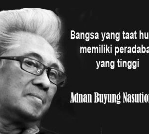 Adnan Buyung Nasution