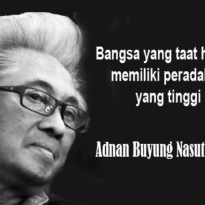 Adnan Buyung Nasution