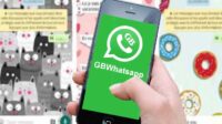 Aplikasi GB WhatsApp Pro Mod