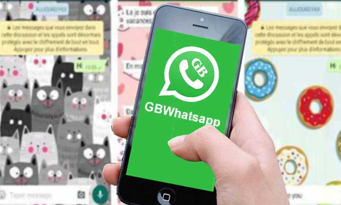 Aplikasi GB WhatsApp Pro Mod