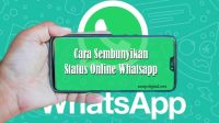 Status Online Whatsapp