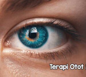 Terapi Otot Mata