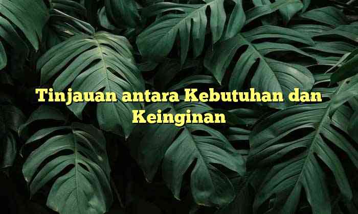 Tinjauan antara Kebutuhan dan Keinginan